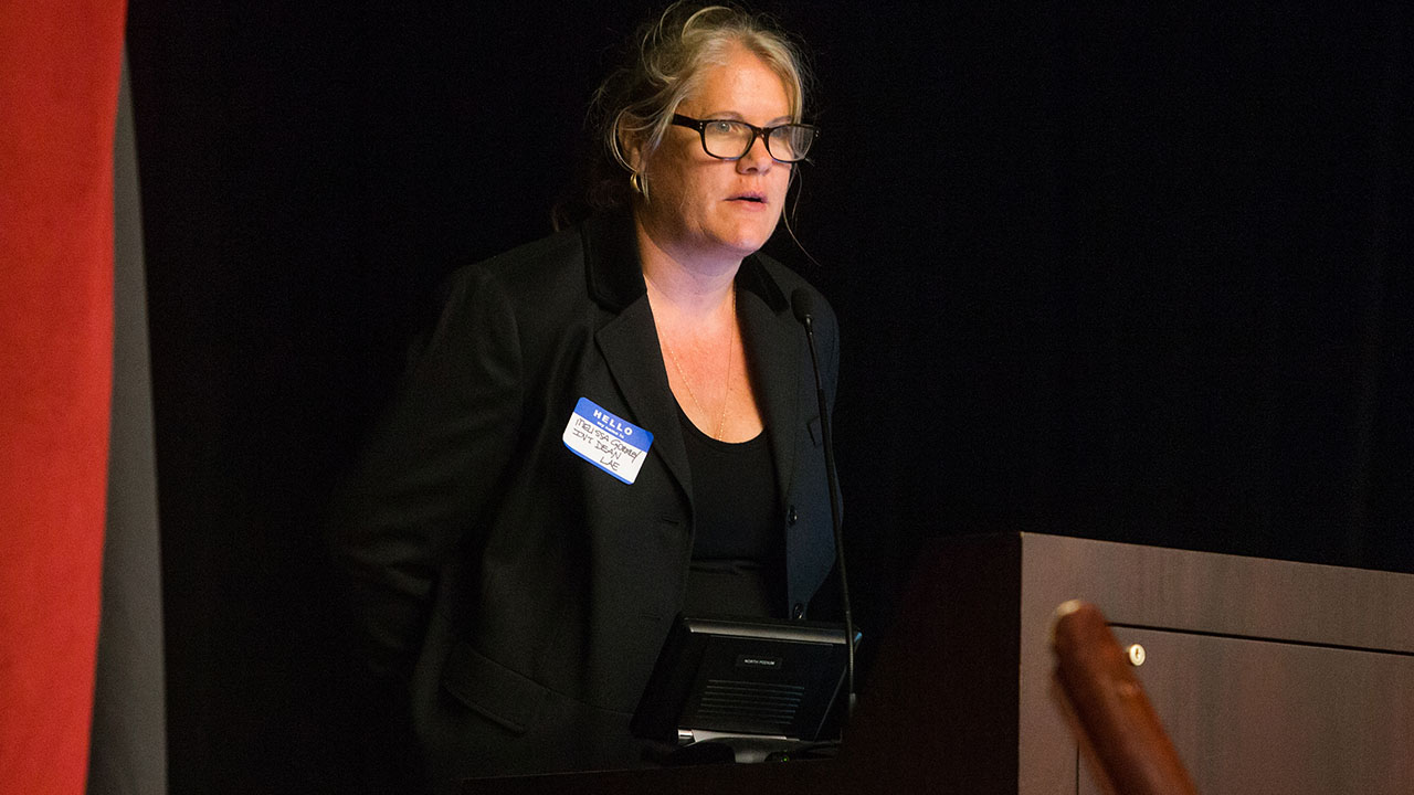 Pioneer Spotlight Dr. Melissa Gormley UWPlatteville News